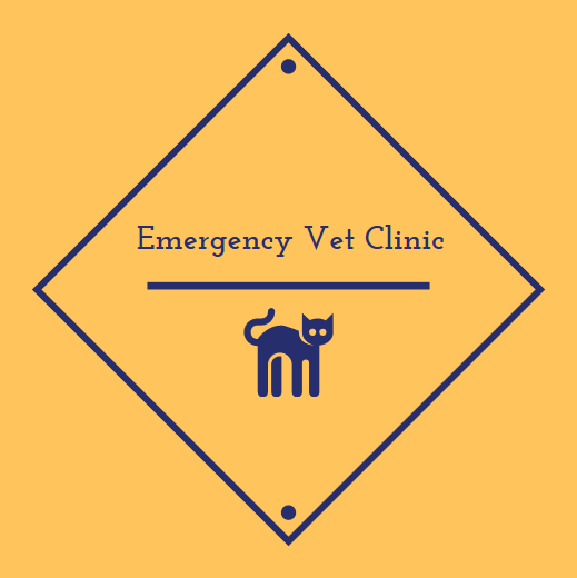 Emergency Vet Clinic for Veterinarians in Oklahoma City, OK